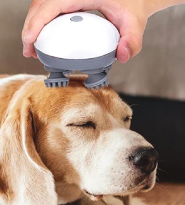 ZenVibe™ Masajeador Portátil